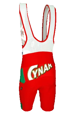 Cynar Green Bib Shorts 5 Cynar Green Bib Shorts -Nalini Cycling Gear 2014 cynar green bib shorts rear 70748.1392702161