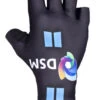 2021 Team DSM Gloves