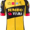AGU 2021 Jumbo Visma Jersey 2 AGU 2021 Jumbo Visma Jersey -Nalini Cycling Gear 2021 Jumbo Visma Jersey 45968.1615645633