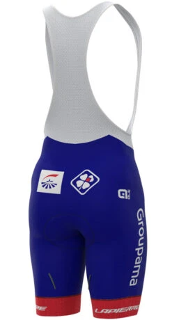 Nalini Cycling Gear -Nalini Cycling Gear 2022 Groupama FDJ Jersey Bib Shorts Rear 03679.1650226445
