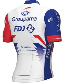 Nalini Cycling Gear -Nalini Cycling Gear 2022 Groupama FDJ Jersey Rear 34452.1650226262