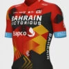 ALE 2023 Bahrain Victorious Full Zipper Jersey 1 ALE 2023 Bahrain Victorious Full Zipper Jersey -Nalini Cycling Gear 2023 Bahrain Victorious Jersey 87079.1680748525