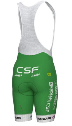 ALE 2023 Green Project Bardiani CSF Bib Shorts 5 ALE 2023 Green Project Bardiani CSF Bib Shorts -Nalini Cycling Gear 2023 Green Project Bardiani CSF Bib Shorts Rear 70802.1680753071