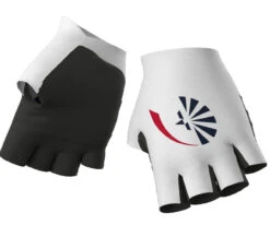 ALE 2023 Groupama FDJ Gloves