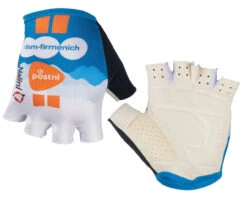 Nalini 2024 DSM Firmenich PostNL Gloves -Nalini Cycling Gear 2024 DSM Firmenich PostNL Gloves2 77095.1711905297