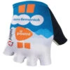 Nalini 2024 DSM Firmenich PostNL Gloves 2 Nalini 2024 DSM Firmenich PostNL Gloves -Nalini Cycling Gear 2024 DSM Firmenich PostNL Gloves 87024.1711905297