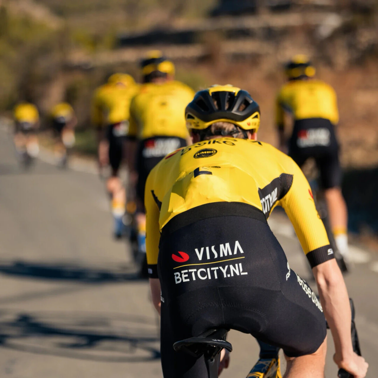 AGU 2024 Visma Lease A Bike Bib Shorts 6 AGU 2024 Visma Lease A Bike Bib Shorts - Image 4