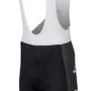 AGU 2024 Visma Lease A Bike Bib Shorts 1 AGU 2024 Visma Lease A Bike Bib Shorts -Nalini Cycling Gear 2024 Visma Lease A Bike Bib Shorts Side 80869.1710631375