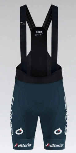 GOBIK 2024 Wilier Vittoria Bib Shorts