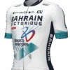 2024 Bahrain Victorious Jersey -Nalini Cycling Gear 2024 Bahrain Victorious Jersey 07037.1714681344