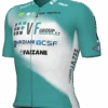 2024 VF Group Bardiani CSF Jersey -Nalini Cycling Gear 2024 VF Group Bardiani CSF Jersey 39506.1714687836